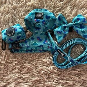 Sassy Woof Valentine’s Day dinosaur harness set